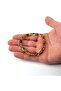 Dominican Blue Rock Fossil Amber Bracelet 7.5Gr - 7