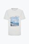 Men's Light Gray Standard Fit Regular Fit 100% Cotton Printed Crew Neck T-Shirt - 7
