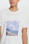 Men's Light Gray Standard Fit Regular Fit 100% Cotton Printed Crew Neck T-Shirt - 5