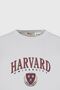 Men's White Harvard Licensed Oversize Loose Cut 100% Cotton Printed Crew Neck T-Shirt - 7
