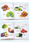 Fruits Animal Shape Colour Cognition Picture Book Children Early Education Training Chinese PinYi... - 7