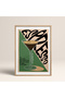 Single Wooden Framed Painting One Piece Poster Painting Tk/759 - 2