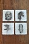 Greek Mythology Themed Natural Stone Coasters - Travertine Elegance and Magic of History Together