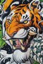 Good Quality Tiger Printed, High Quality Fabric Kick Boxing, Muay Thai, Mma, Football Training Boxing Shorts - 3
