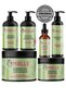 Rosemary Mint Strengthening Hair Care Set - Shampoo, Conditioner, Hair Mask, Edge Gel, Hair Oil