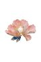 Pandan Design Spring Broş