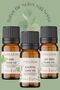 Breathe Easier Essential Oils Series - Tea Tree, Peppermint, Eucalyptus Essential Oils 3x10 ml - 2