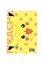 4 Pokemon Coloring Books 16 Pages - 4