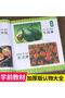 Fruits Animal Shape Colour Cognition Picture Book Children Early Education Training Chinese PinYi... - 3
