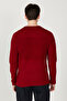 Men's Red Anti-pilling Non-pilling Standard Fit Crew Neck Textured Knitwear Sweater - 5