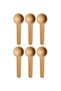 Natural Colored 6-Piece Spice Shovel Set-Spice Spoon Holder - 2