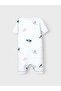 NBFVANDORA SUNSUIT BOX - 3