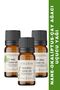 Breathe Easier Essential Oils Series - Tea Tree, Peppermint, Eucalyptus Essential Oils 3x10 ml