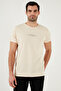 Cotton Slim Fit Crew Neck t Shirt Men's t Shirt 541Ifit - 3