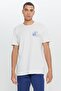 Men's Light Gray Standard Fit Regular Fit 100% Cotton Crew Neck T-Shirt