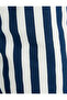 Striped 5 Pocket Shorts - 7