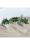 Artificial Flower DIY Podocarpus Plant in 3-Piece Cubic Pot - 3