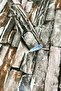 Self Adhesive Kitchen Cabinet and Furniture Covering Foil