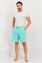 Men Regular Fit Brand Logo 9 Inseam 20 Outseam Board Shorts, Turquoise - 2