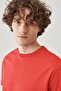 Regular Fit Comfortable Fit 100% Cotton Short Sleeve Crew Neck T-Shirt - 4