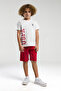 U.S. Polo Assn. Boy, Licensed, 100% Cotton, T-Shirt Shorts Set