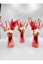 Artificial Flower-3Pcs Natural Dry Flower in Transparent Vase - 2