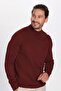Men's Slim Fit Slim Fit Half Turtleneck Solid Burgundy Knitwear Sweater