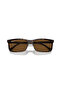 Rb 4435 902/57 56 Polarized Sunglasses - 6
