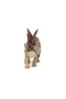 Stegosaurus Dinosaur Figurine - 3