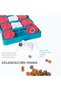 Outward Hound X Nina Ottosson Dog Smart Interactive Treat Puzzle Dog Toy - 6