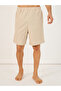 Solid Woven Short Sleeve Collared Shirt and Shorts Set - 4