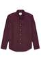 قميص AE Slim Fit Flex Oxford بأزرار - 3