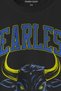 Fearless Bull Bull 1907 Unisex T-Shirt - Yellow Navy, Fearless Lettering Printed, Gym Sports - 2