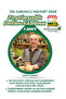 Olive Oil Laurel Soap (SINGLE SOAP MARDIN MEHMET DEDE)