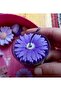 4.5cm Flower Silicone Mold K-1390, Stone Powder Soap Plaster Candle Mold - 2
