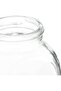 table top 4pcs glass spice jar set 210ml - 3