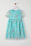 Mint Floral Balloon Sleeve Woven Dress Tkdss25El00027 - 4