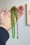 99' Green Color Small Size Fire Amber Prayer Beads - 2