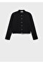 Jewel Button Stripe Collar Jacket - 3