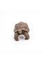 GALAPAGOS TURTLE FIGURINE - 3