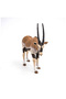 FIGURINA ANTILOPA ORYX - 3
