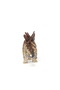 Stegosaurus Dinosaur Figurine - 5
