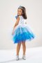 Princess Anna Elsa Olaf Themed Birthday Dress & Party Costume with Crown & Wand & Hair Gift - 2