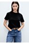 Embroidered perforated T-shirt