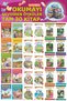 3.Stories That Make Colorful Educational Reading for Grades Love (30 Books)