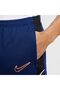 M NK DF ACD25 PANT KPZ BR - 4