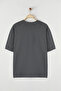Antrasit Oversize/Geniş Kesim Penguen Nakışlı %100 Pamuklu T-Shirt TMNSS23TS00243 - 5