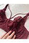 Tyla Lace C Cup Front Striped Daily Use Underwire Stylish Gathering Bra - 4