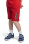 Surfing Panda Printed Boys' Capri and T-Shirt Bottom-Top Set - 3
