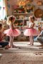 Girl's Show Costume Dusty Pink Crystal Tulle Tutu Skirt (4-5 Years) - 3